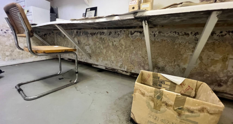 : Bergen County homeowner reviewing mold inspection findings and remediation scope with an independent inspector